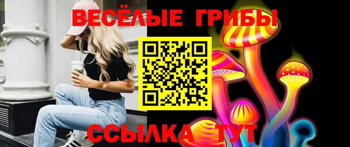 Псилоцибиновые грибы Psilocybine cubensis Холмск