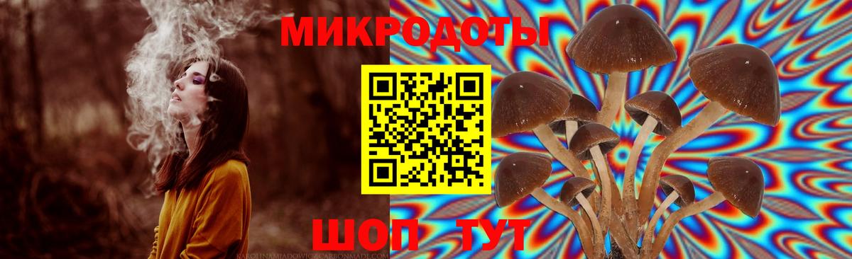 Псилоцибиновые грибы Psilocybine cubensis  Вход с VPN  Холмск 