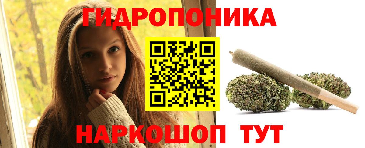 Бошки марихуана план  Бошки марихуана планчик  Холмск  Вход с VPN  Канабис Ganja 